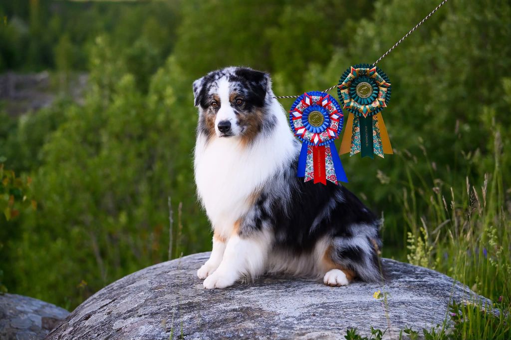 TR. CH. Raise-for-fame (dit alec) du glacier des pandas