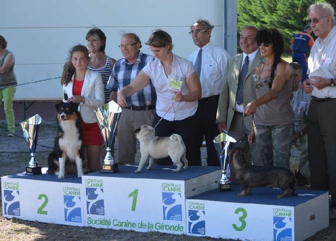Dark Secret Garden - CACS BIGANOS JUILLET 2014