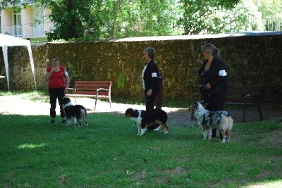 Dark Secret Garden - expo libourne le 13/05/2012